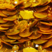 Gold Mother of Pearl Necklace